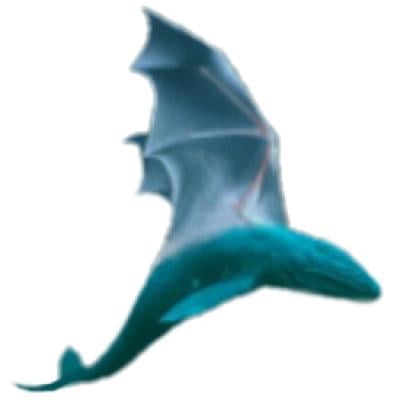 dragonclaw71