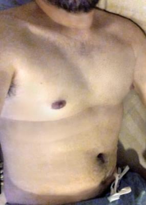 BBbearJP